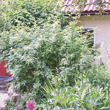 1 Bedroom Beautiful Home In โทเมลิลลา ภายนอก รูปภาพ